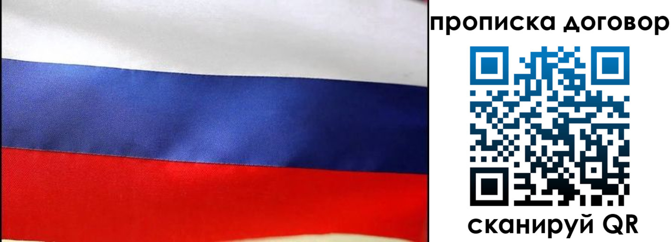 прописка гарантия в Шарье